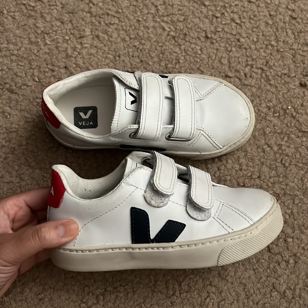 Veja sneakers!